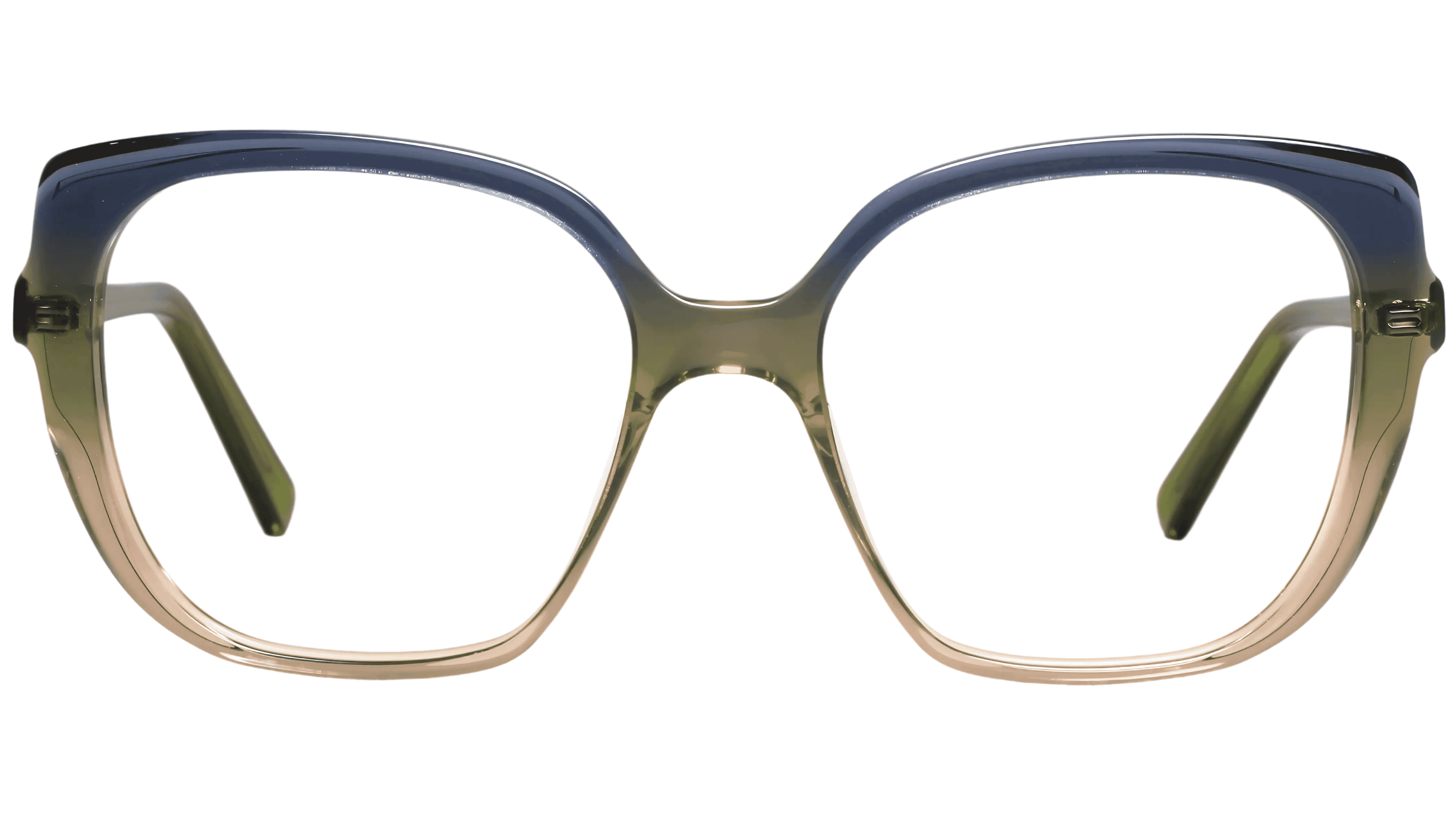 Paris Papillon 4071 (52)